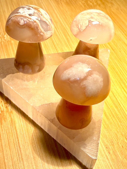 Flower Agate Mushroom carvings
