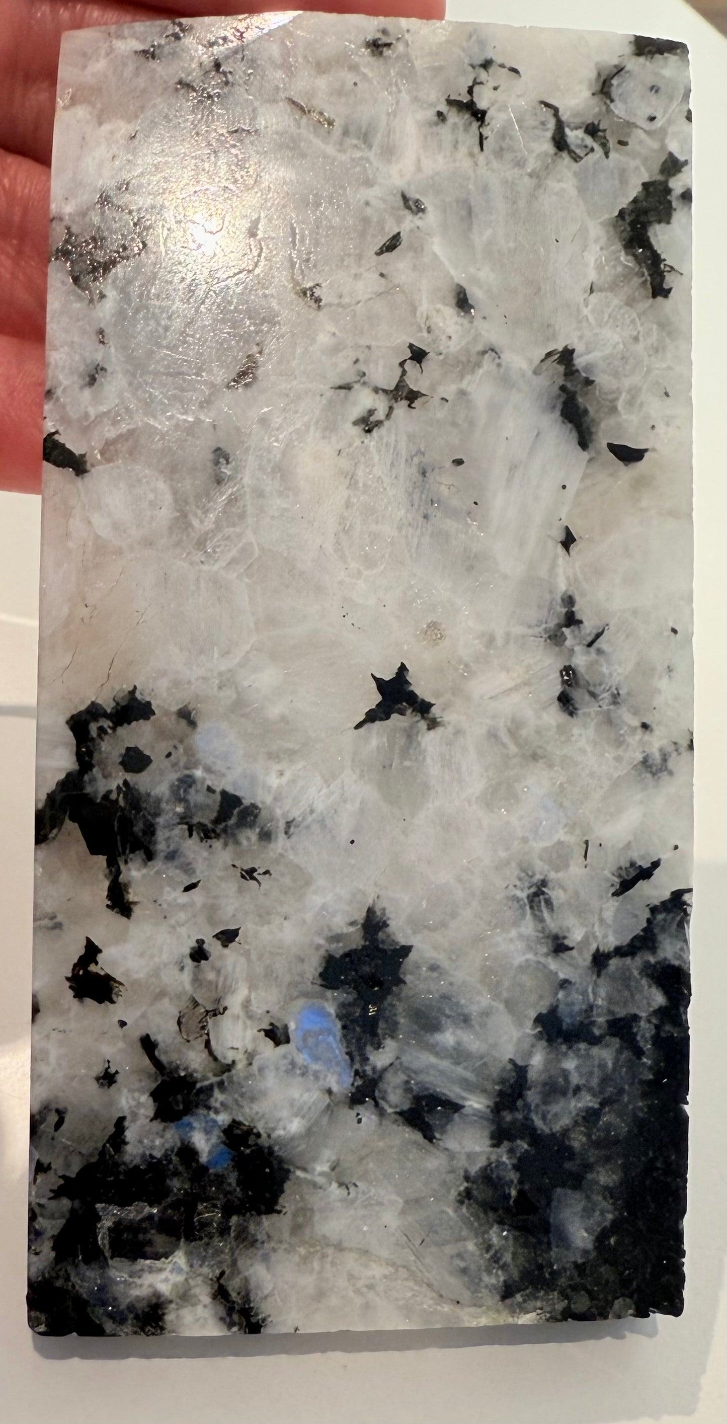 Moonstone Slice , Blue Flashes