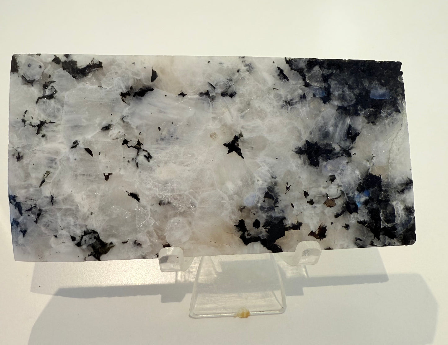 Moonstone Slice , Blue Flashes